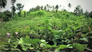 Adiridas in the Philippines.flv