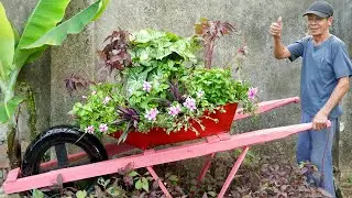 Creative DIY Wheelbarrow Planters &ndash; Transform Your Yard into a Blooming Garden