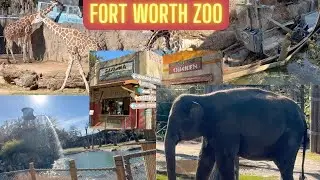 Fort Worth ZOO Family Time 😁