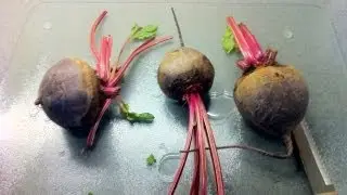 How To Prepare Beets