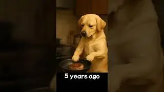 #cookingdog
