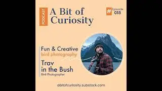 Making Bird Photography Funny and Creative with Trav in the Bush