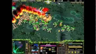 Dota FIrefly.wmv