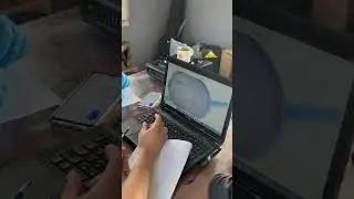 Поляризация икры осетра #ахтуба #балык #белуга #черная икра