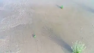 Bancos de Areia! Voando até um lugar inacessível!