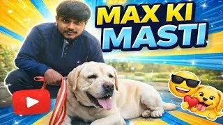 &ldquo;Max Ki Full Masti | Cute Dog Vlog 🐶❤️&rdquo;