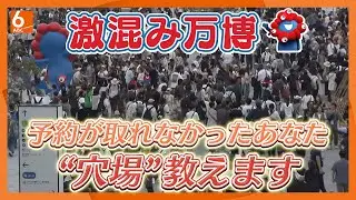 【一挙紹介】館内に入れなくても楽しめます　入場すら困難な万博　予約なしで楽しめる“穴場スポット”紹介します