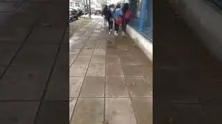Las turras de la 27