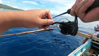 Micro Jig + Sabiki = Fish On! | Oslob Cebu