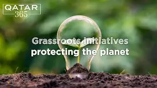 Explore Qatar's grassroots initiatives aiming to protect the planet | Qatar 365