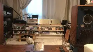 JBL 4343b , heathkit ua-1 mono