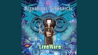 Mechanical Shamanical