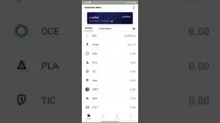 vechain Thor wallet inside look
