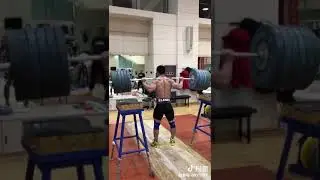 Lu xiaojun back squats at 260
