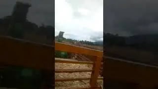 Chaff cutter by great vision machinery