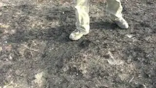 Aerial Seeding of the Swanson Lakes Fire - Telford, WA - Unedited