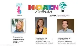 Innovation Award: Appalachian Perinatal Mental Health Alliance&ndash;An MMH Community Coalition