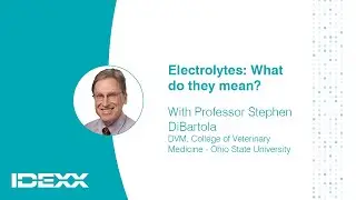 Electrolytes - What do they mean?