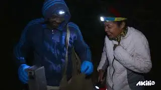 Les guerriers de WildlifeDirect | Confort des animaux, conflits li&eacute;s &agrave; la conservation 🌍🦁 | Akili TV
