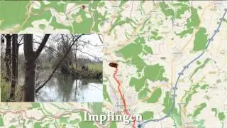 Fertig Dittigheim bis Niklashausen