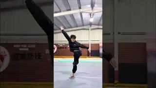 I believe many people have watched the Fanzi Quan and Mizong Quan demonstrated by Senior L