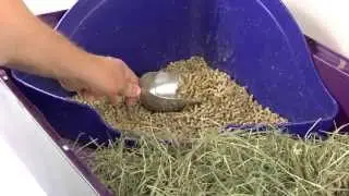 Eco-Straw &mdash; гранулированный пшеничный соломенный наполнитель от Oxbow Animal Health