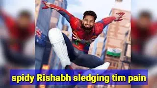 Spiderman Rishabh Pant Sledging Australian Captain Tim Paine | #Shorts