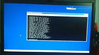 Windows 98 SE Destruction
