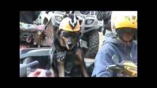 ATV MUDDING! DOG SAYS BRING ON THE MUD!!!!!! COOL DOG RIDING QUAD!!!!!