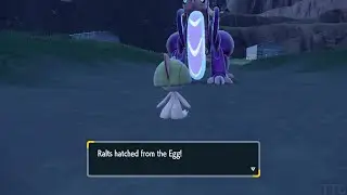 Pokemon Egg Files - Ralts - Synchronize - Nature Hunting - E1