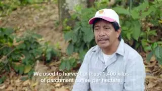 3.  Introduction of climate resilient varieties