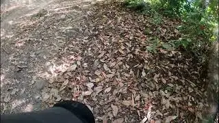 Demo Forest #mtb Ridge + Sawpit full run