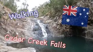 Walking Cedar Creek Falls, Tamborine Mountain, Queensland.