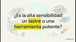 La Alta sensibilidad, Karina Zegers de Beijl (Resumen del libro)
