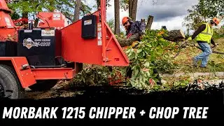 Morbark 1215 Brush Chipper + Chop Tree