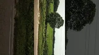 cultivation land of Assam India, beautiful areas