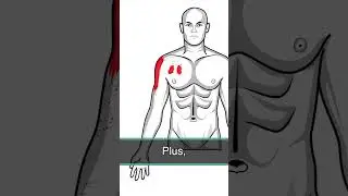 These Neck Trigger Points Feel Like Thoracic Outlet Syndrome