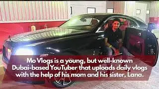 Movlogs income calculation