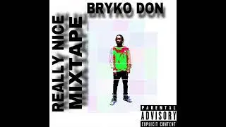 Bryko Don- Party