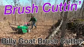 Review of the Billy Goat Outback Series Brush Cutter - Home Depot Rental (#7)
