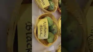Mango Festival in Janakpuri, New Delhi