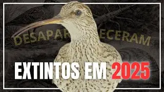 ANIMAIS EXTINTOS EM 2025