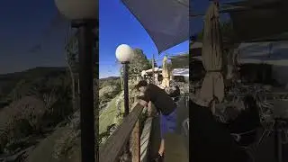 Gold Coasts best spot for a beer st Barnard's hotel Mt tambourine #shortmaninavan #vanlifeaustralia