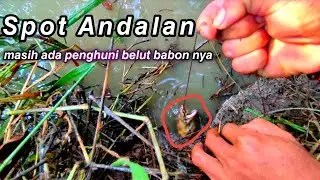 Bersemi Kembali Mancing Belut Di Spot Andalan