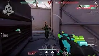 ULT FOR THE ROUND