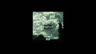 rogertwo - 'mollify timbre' (2024) - Rookie 1978