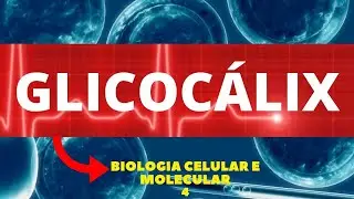 GLICOCÁLIX - MEMBRANA PLASMÁTICA - BIOLOGIA CELULAR E MOLECULAR - AULA 4