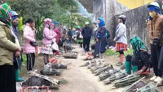 Chợ Bắc Hà Vỡ Trận Khách Du Lịch Lên Đông Như Hội Mua Thảo Dược