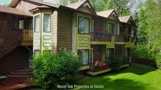 Mossy Oak Properties of Alaska   B&B & Fishing Lodge Soldotna Alaska