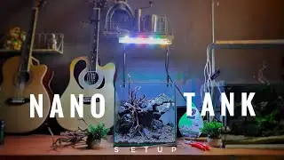Step by Step Cube Tank Setup | 30cm Nano Tank